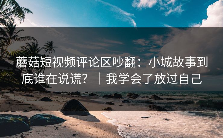 蘑菇短视频评论区吵翻：小城故事到底谁在说谎？｜我学会了放过自己