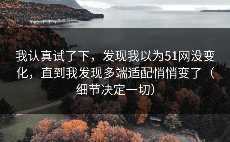 我认真试了下，发现我以为51网没变化，直到我发现多端适配悄悄变了（细节决定一切）
