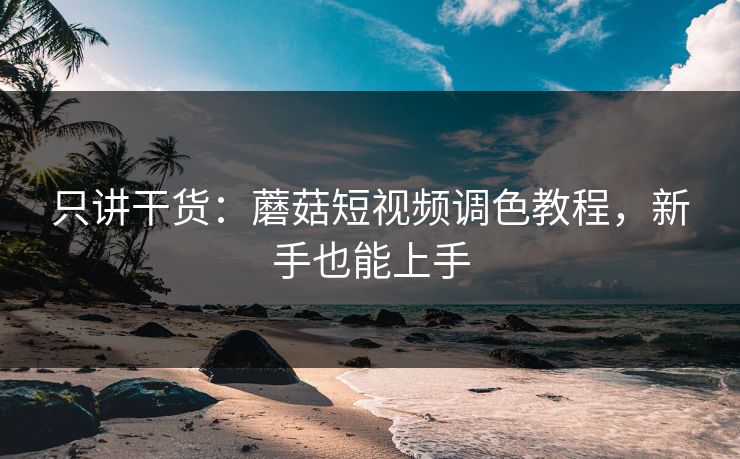 只讲干货：蘑菇短视频调色教程，新手也能上手